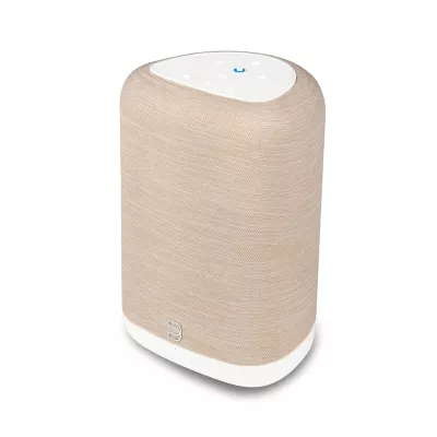 Bluesound Pulse Flex P130 a Ginevra | Digistore.ch